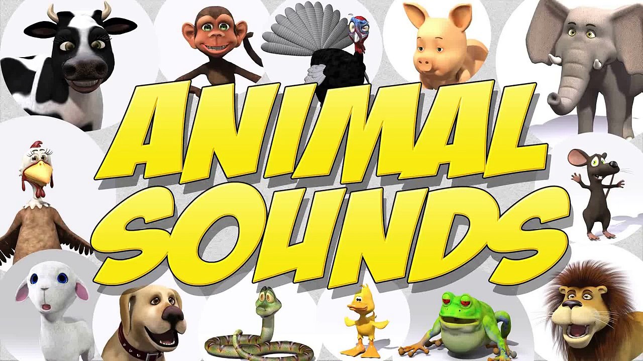 Kids song - Animal Sounds