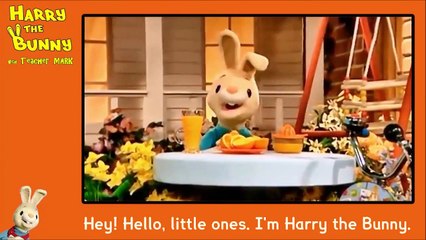 Harry The Rabbit - What is it - Orange Juice