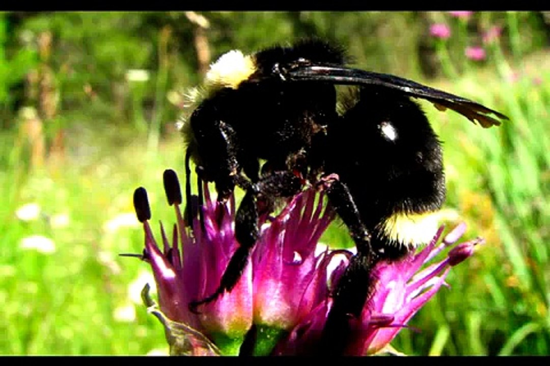 John Muir Trail  Photo Essay