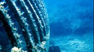 Scuba Photography Leandros Abatzopoulos