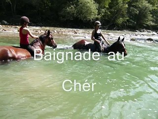 Baignade à cheval