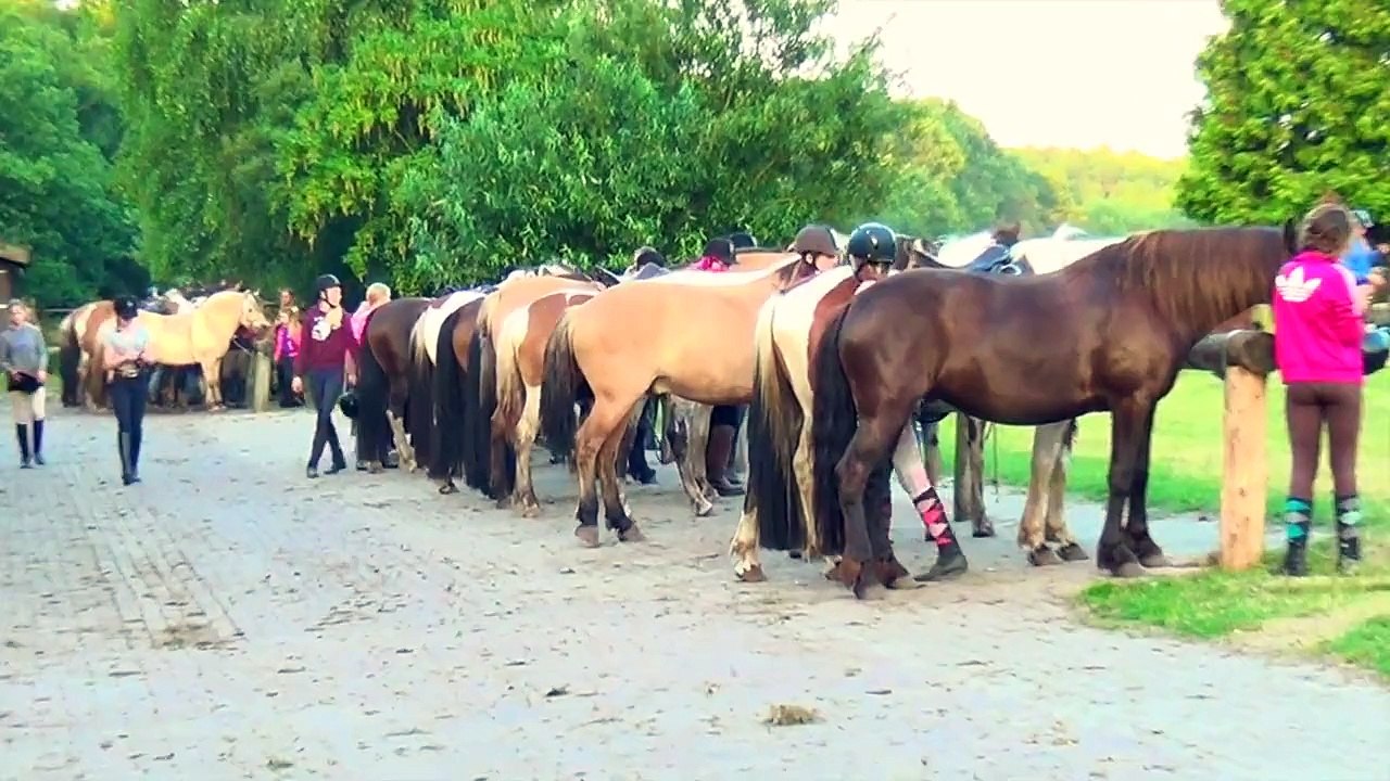 Ponykamp het Fjordenpaard 2014 week 2