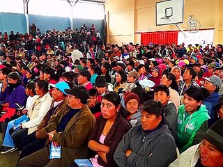 Эквадор: активисты спасают брошенных из-за вулкана животных