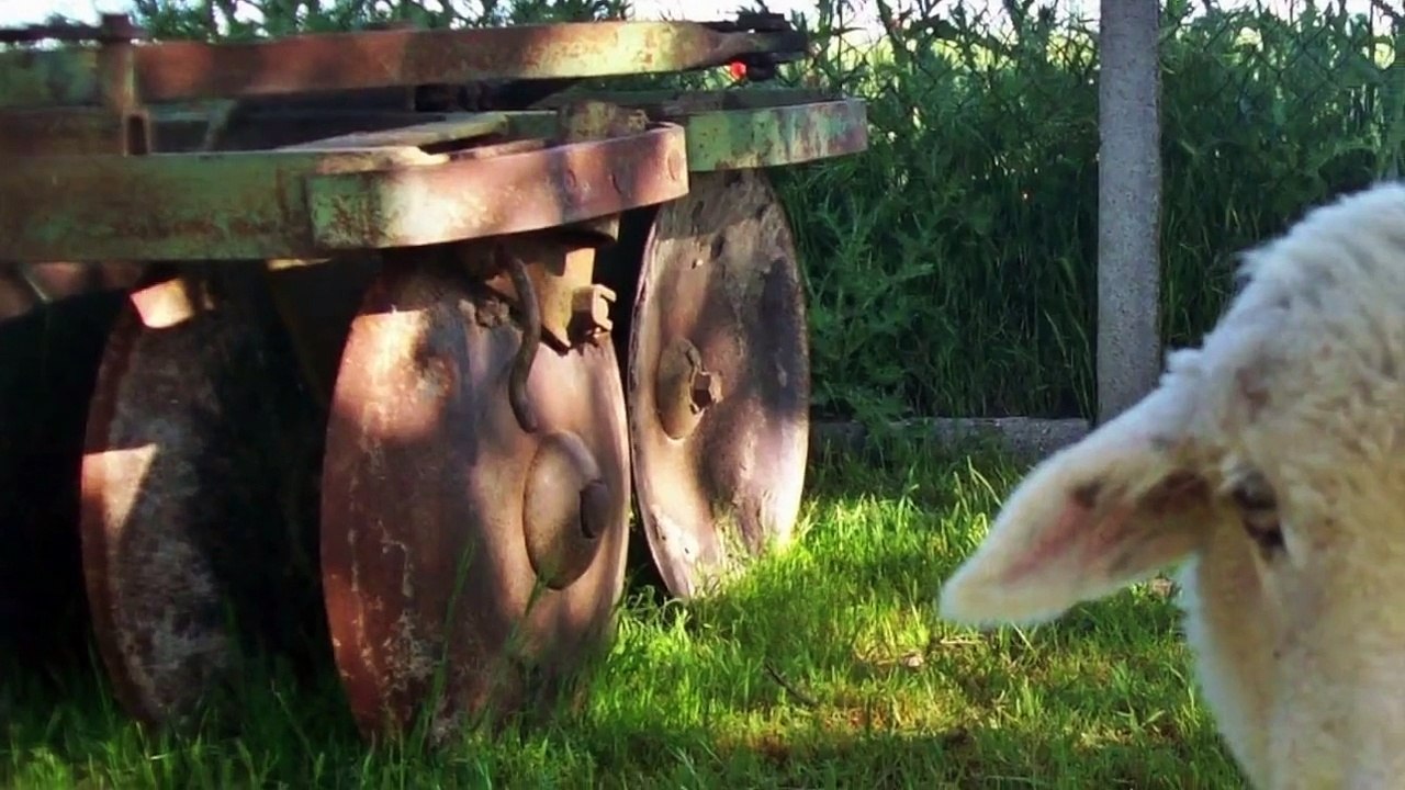 TONINO GUERRA - "La Pecora" - Interprete: Antonio Maria Magro
