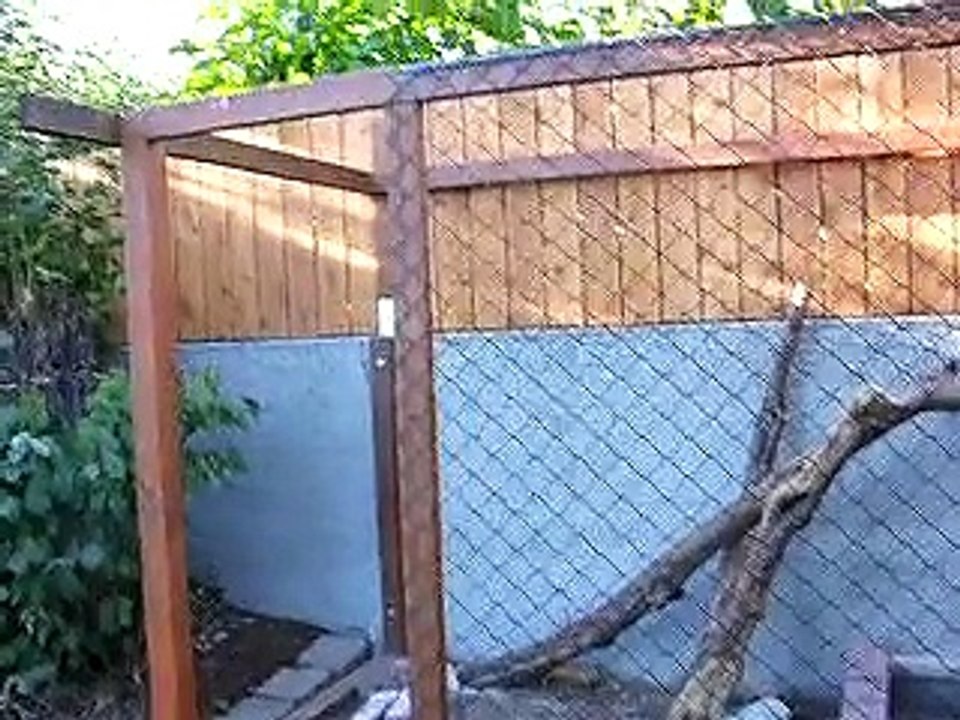 black throat monitor enclosure/playpen update ALMOST DONE!