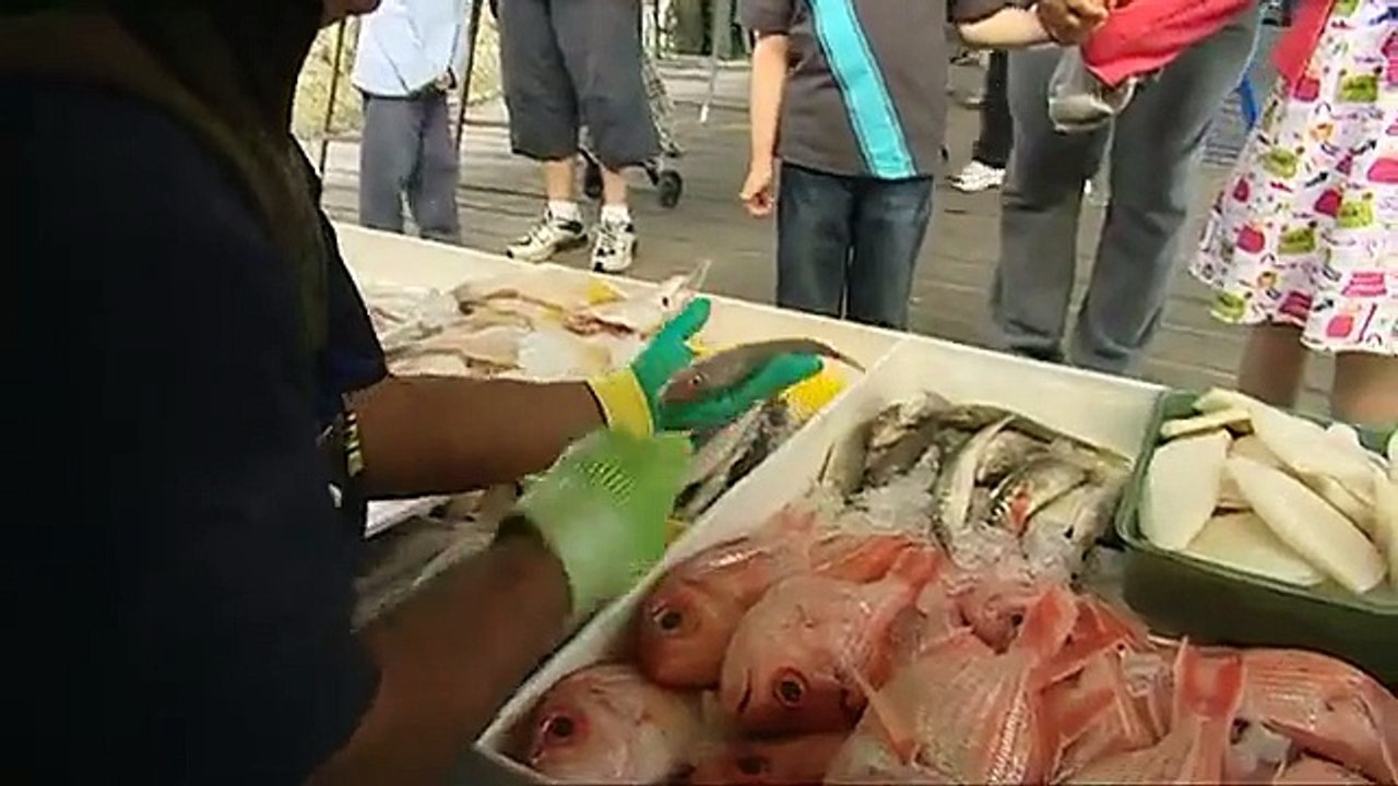 South Australian Aquaculture (french language version)