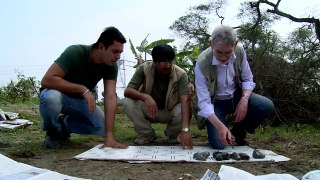 The UCL Earth Sciences Department