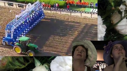 Reaction to Triple Crown Win (2015 Belmont Stakes)