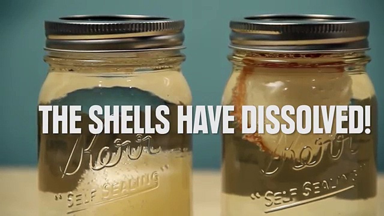 Super Cool Science Experiments You Can Do At Home