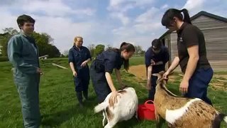 NTU Brackenhurst Campus Tour - Version 2