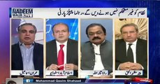 Imran Ismail (PTI) defends Aleem Khan, Irks Rana Sanaullah - and the Clash Began