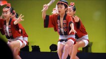 Japanese HOT Festival”AWA DANCE” 【娯茶平連】