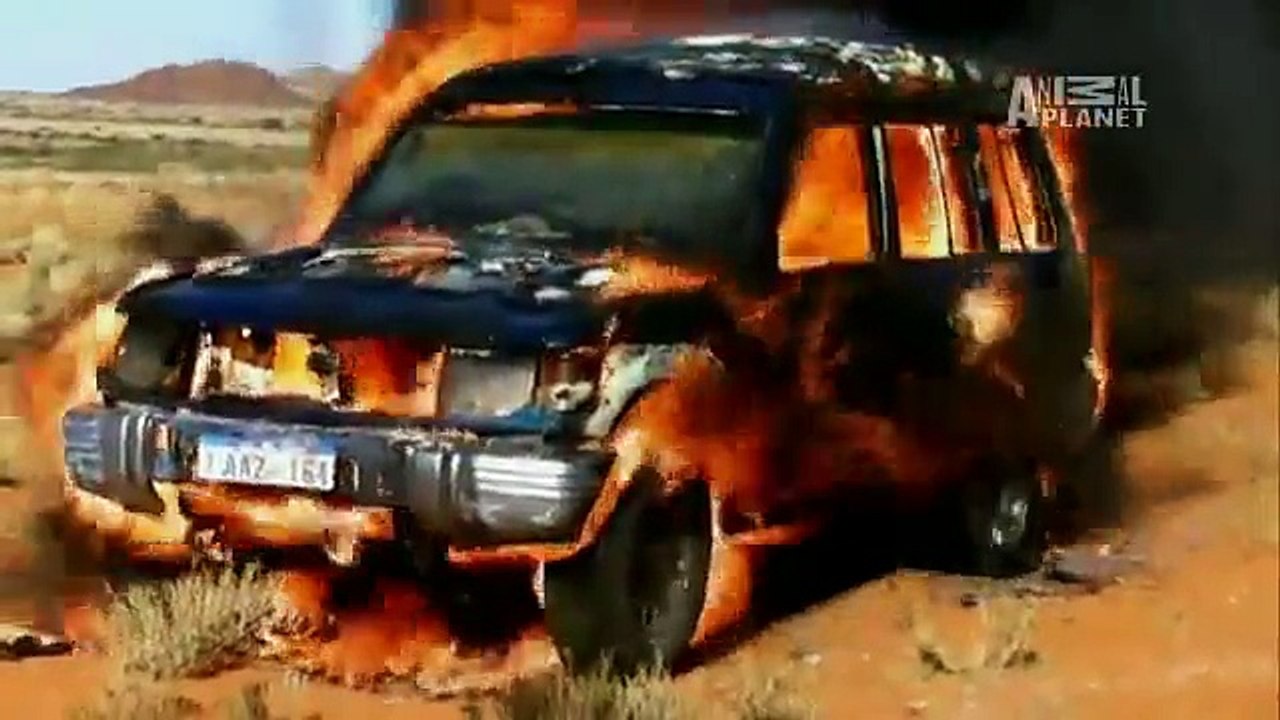 I Shouldn't Be Alive- Worst Nightmare