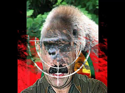 ANTI PKK TERRORIST-KURDISTAN-APO-TÜRKIYE ANTI PKK PROPAGANDA