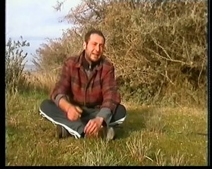 cetreria urbana castellon