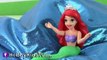 PLAY DOH Peppa Pig, George, Mummy & Daddy at Beach! Disney Princess Ariel Visits! KidsTV