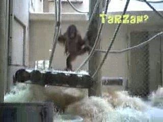 Journée au jardin des plantes à Paris.