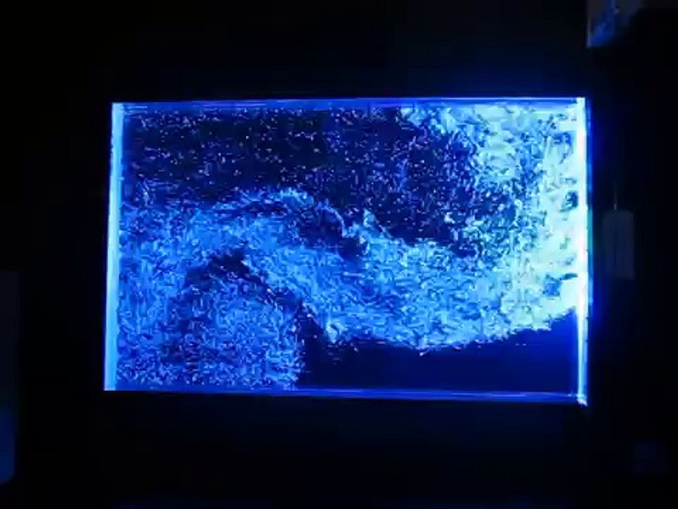 Design & Build a Bubble Wall