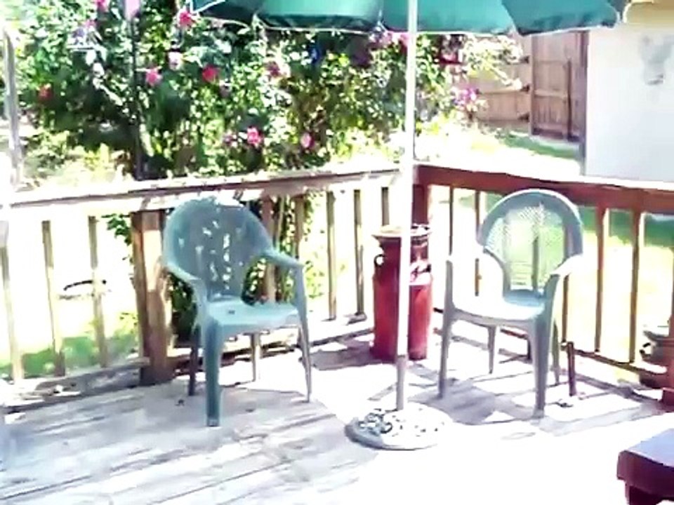Insane rantings of uneducated "sundial" owner