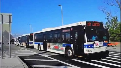 Wheels On The Bus   Song for Kids   Wheels on the bus go round and round   Nursery Rhymes