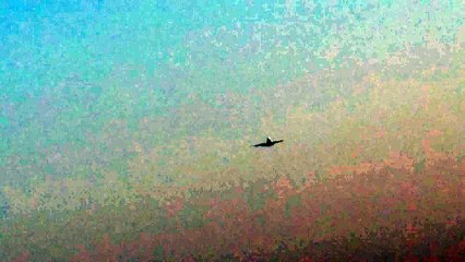 Landing aircraft B747 Kuwait International Airport