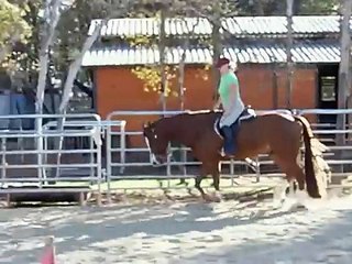 AQHA HUS "Bippity Boppin Along" Nov. 2007