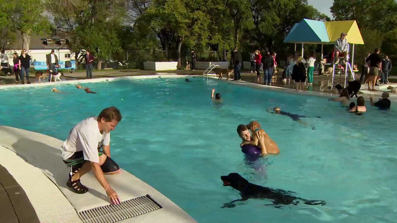 A calgary les chiens ont le droit de se baigner dans les piscines une fois par an