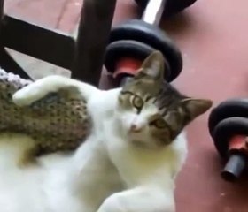 【０１０〃２１７８〃９５０５】ょ분당출장안마=분당출장마사지