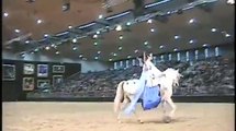 Pferd & Jagd 2011, Show-Grand-Prix