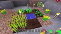 Minecraft 404 Challenge - Stampylongnose Lost In A Cave - Part 3