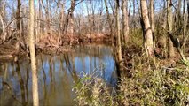 #3716-19 - CREEK FRONT LOT - GREAT TN FISHING OR CAMPING LAND FOR SALE