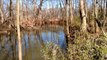 #3716-19 - CREEK FRONT LOT - GREAT TN FISHING OR CAMPING LAND FOR SALE
