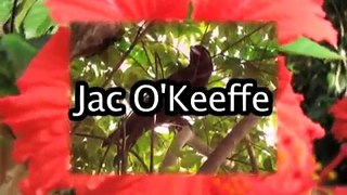 I Am (Am Not) the Doer, with Jac O'Keeffe