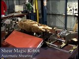 Robot Sheep Shearing
