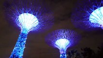 Singapore 4K Gardens by the Bay at night 2015 Marina bay sands hotel & Dragon lake. LX100