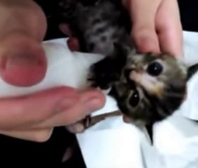 특급〃안양출장안마(010 ⊃ 2178 ⊃ 9505)안양출장마사지〃나이스