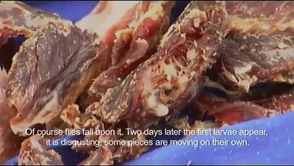 Camel jerky by Sahara nomads (Extract of the documentary "Return to the desert")