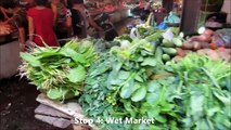 Vietnam Travel  Hanoi Street Food