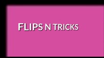 Tricks and flips on catnip