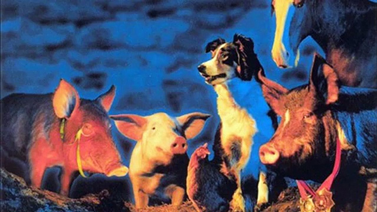 animal farm 1999 trailer
