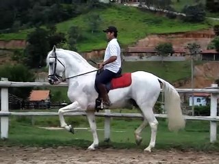 RANCHO NOVO, MORUNGABA CAVALOS APRESENTA MANCHA II