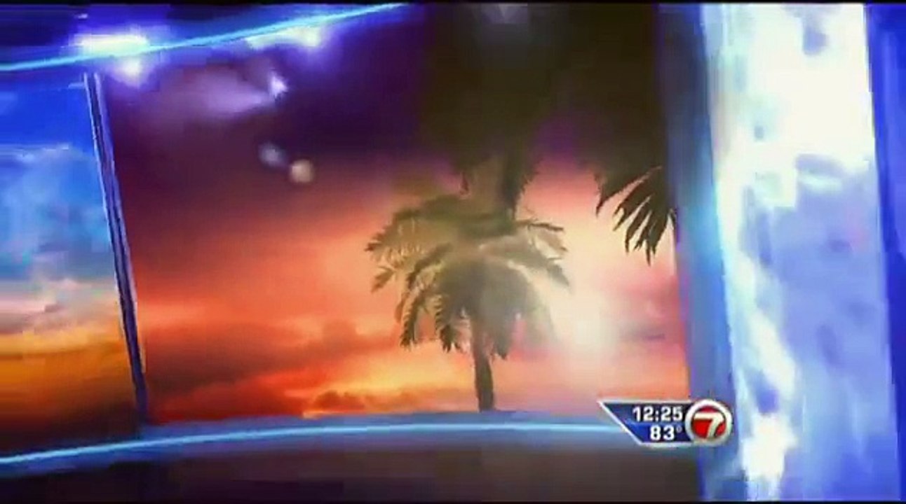 WSVN-TV 7NEWS Video Julie Durda Weather girl hot dress