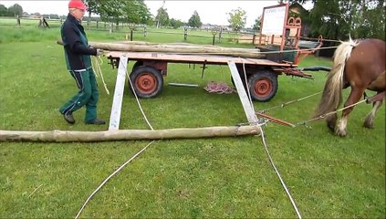 Langholz laden mit Sepp