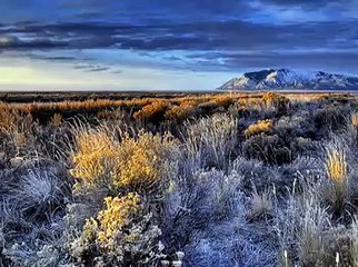 Horse With No Name - Warner Music Version