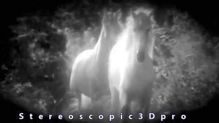 Real Unicorn Sighting caught on tape Amazing Raw  footage IN  HD.