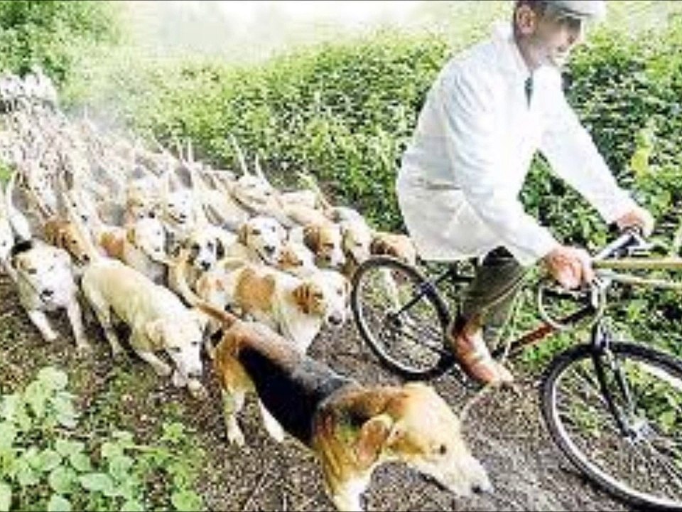 the Watersons - Dido Bendigo