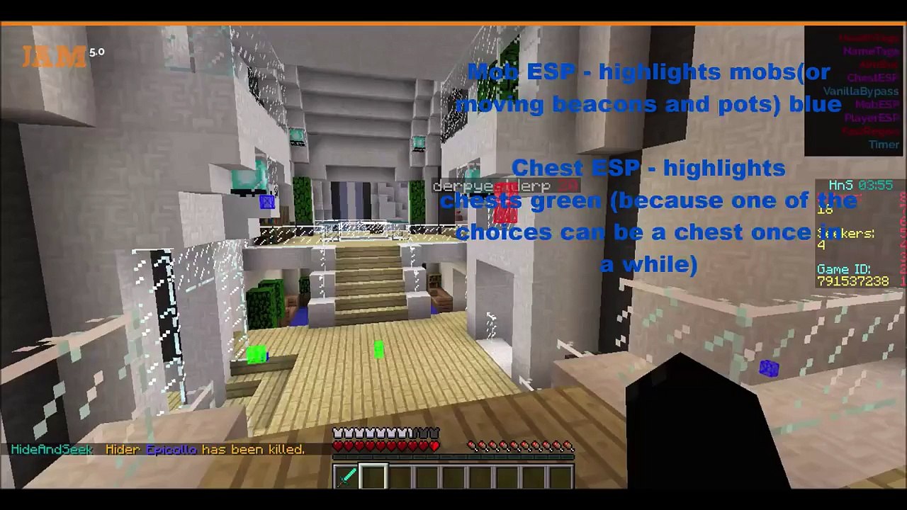 Minecraft - hacking hide n seek