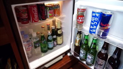 Whats In My Tokyo Hotel Room Thorby makeup