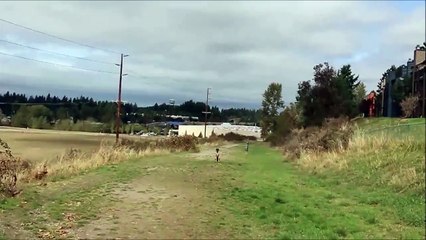 Idiot gets run over by a great Dane and films it!