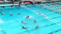 Men's Water Polo Falls to Stanford in Home Opener